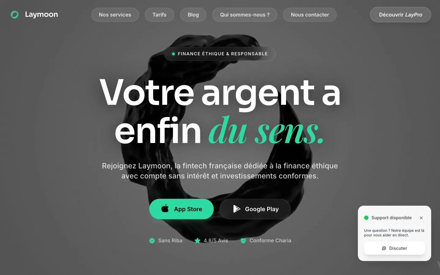 Screenshot of the Laymoon website